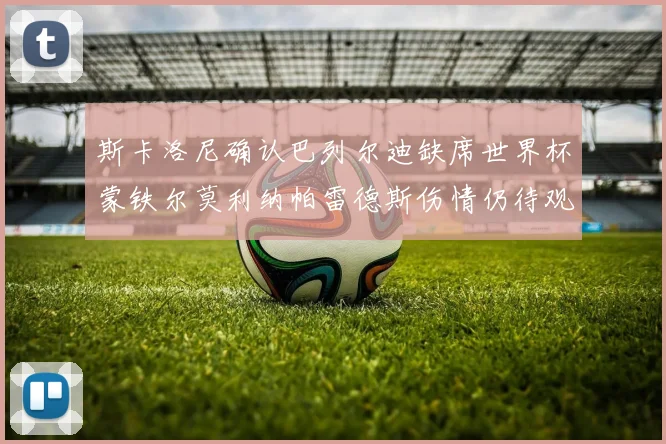 斯卡洛尼确认巴列尔迪缺席世界杯蒙铁尔莫利纳帕雷德斯伤情仍待观察